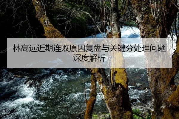 林高远近期连败原因复盘与关键分处理问题深度解析