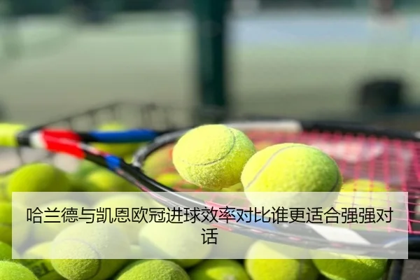 哈兰德与凯恩欧冠进球效率对比谁更适合强强对话
